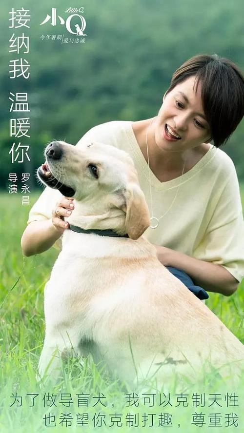 東海大学市场开发文凭证书
